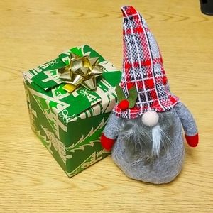 Paul The Christmas Gnome